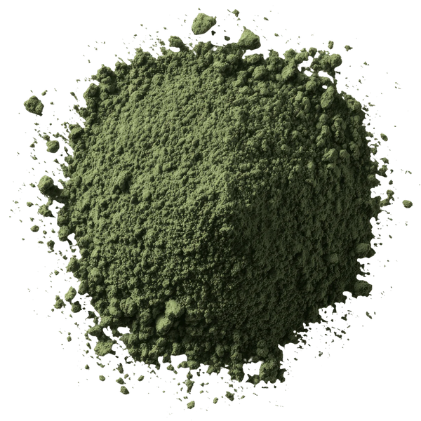 Chewtrition green seaweed powder