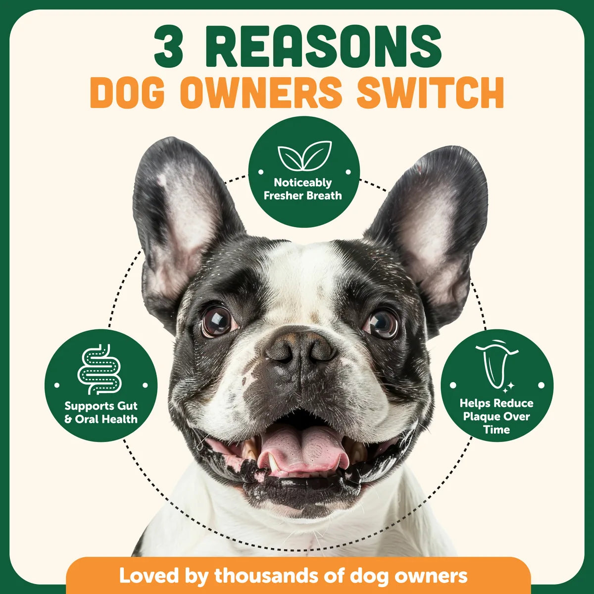 Chewtrition — Daily Dental Powder for Dogs
