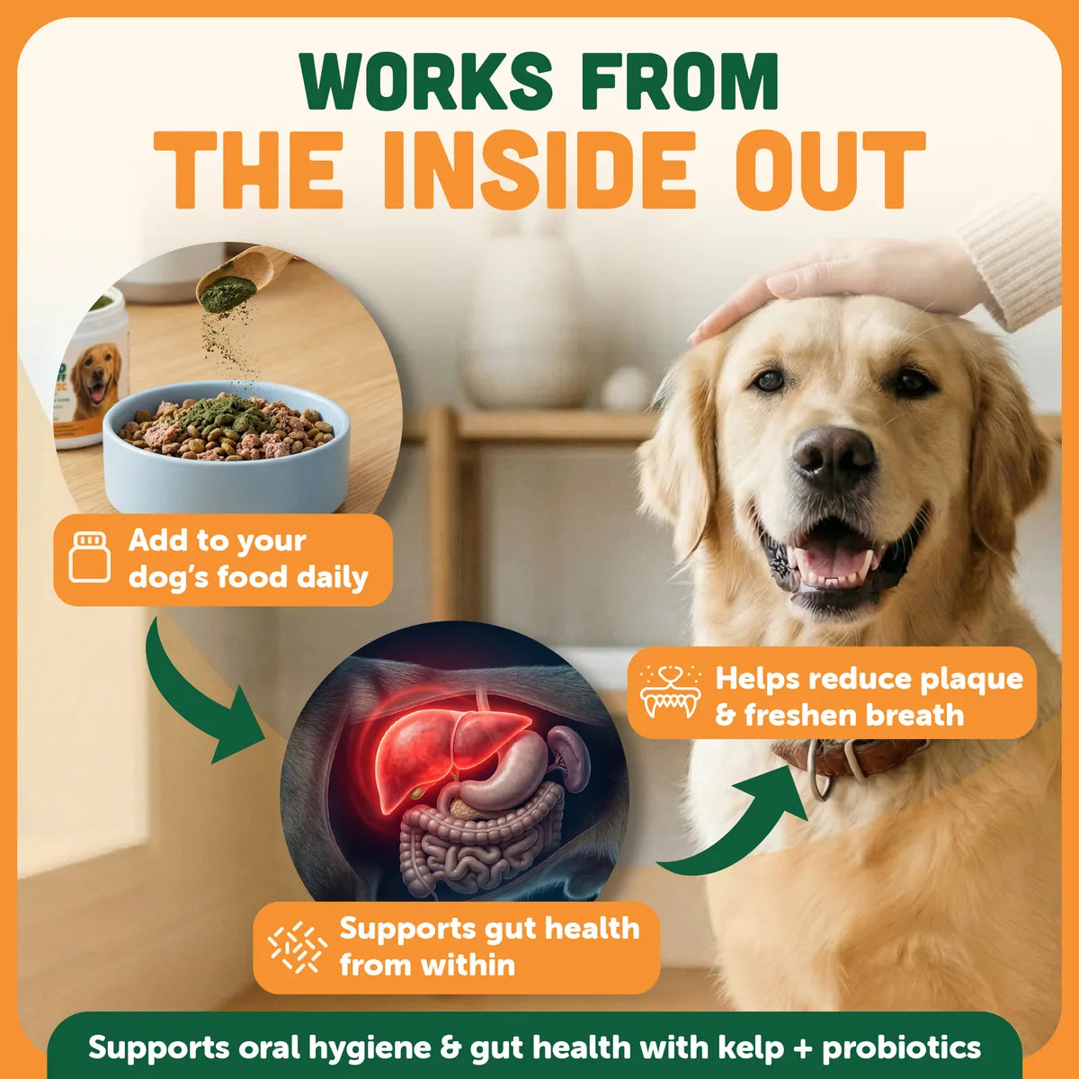 Chewtrition — Daily Dental Powder for Dogs