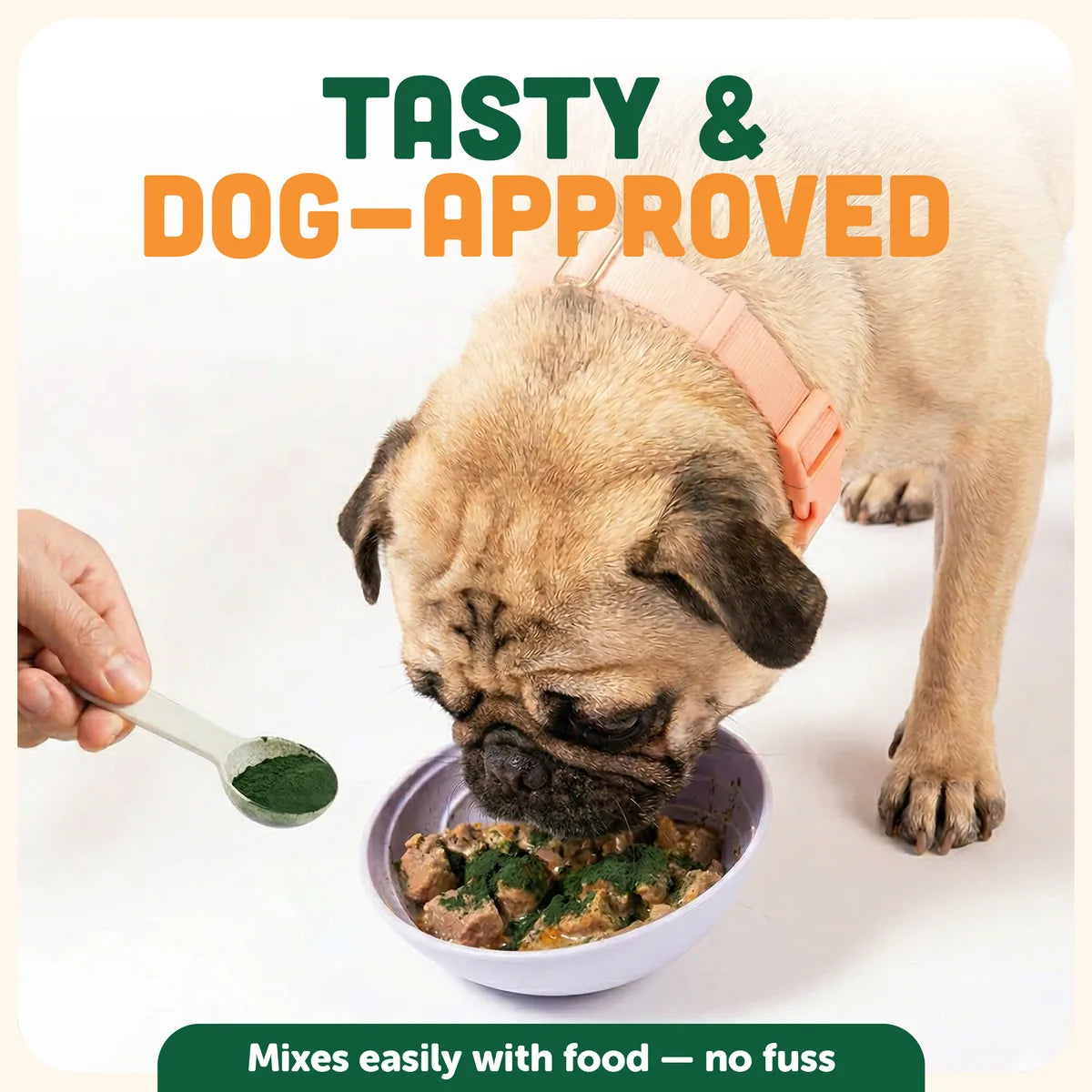 Chewtrition — Daily Dental Powder for Dogs