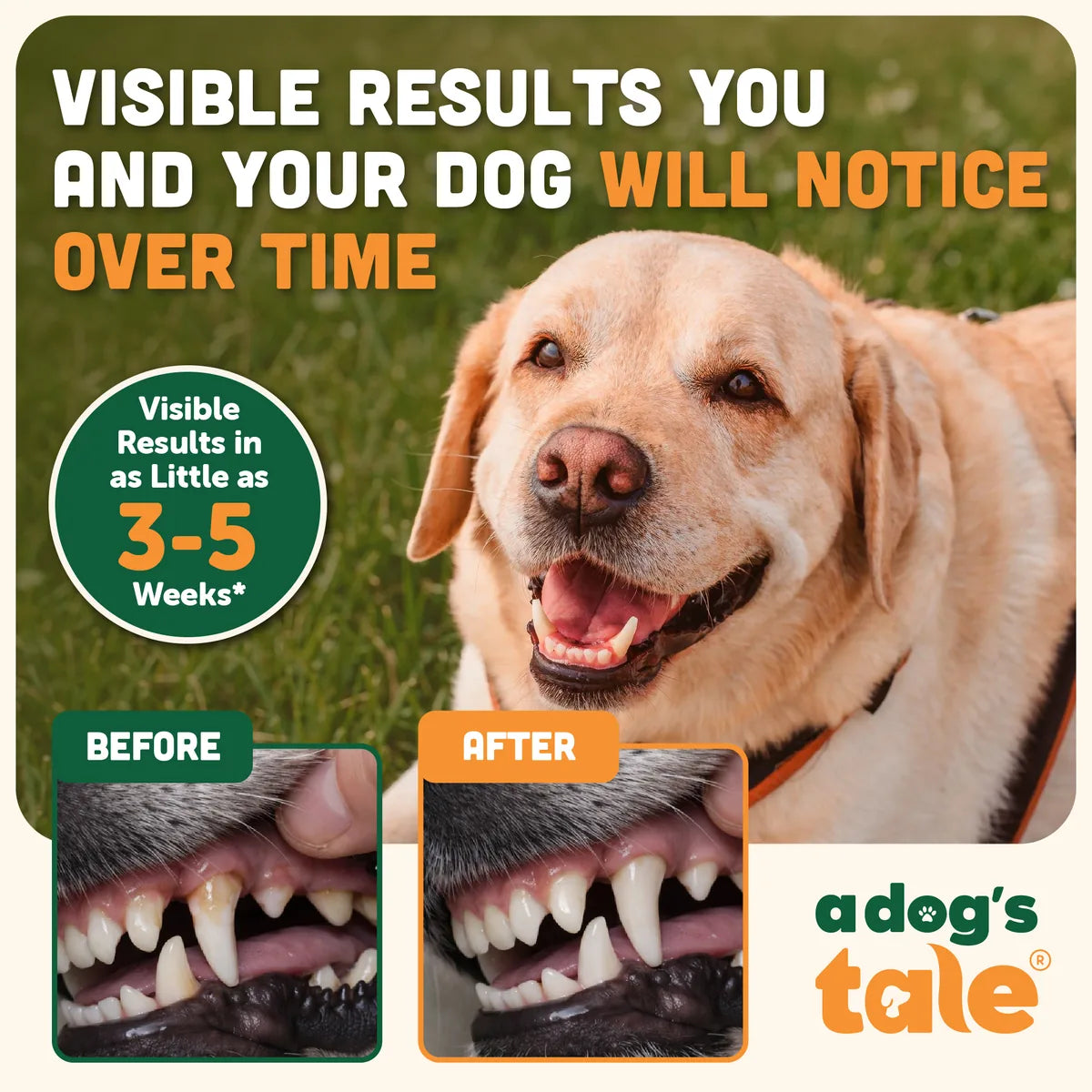 Chewtrition — Daily Dental Powder for Dogs