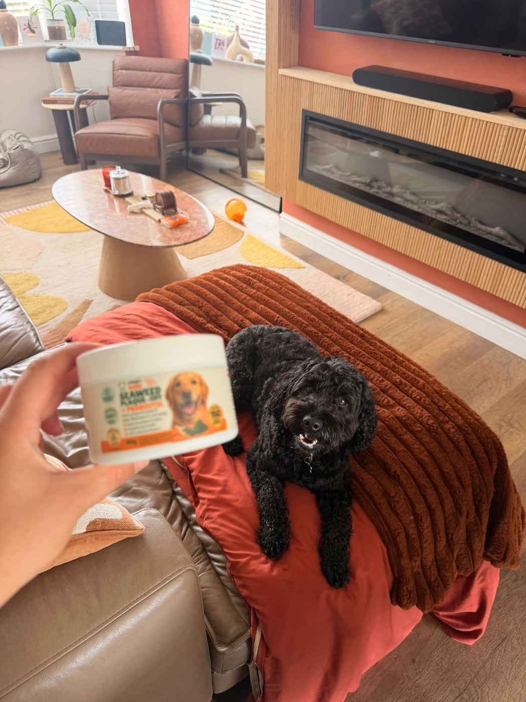 A Dog's Tale customer and their dog with Chewtrition